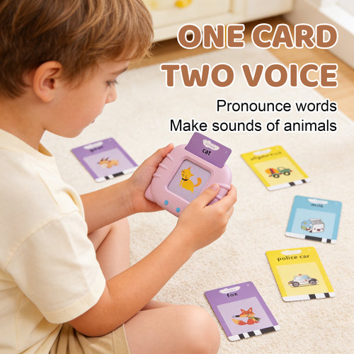 Flash Cards